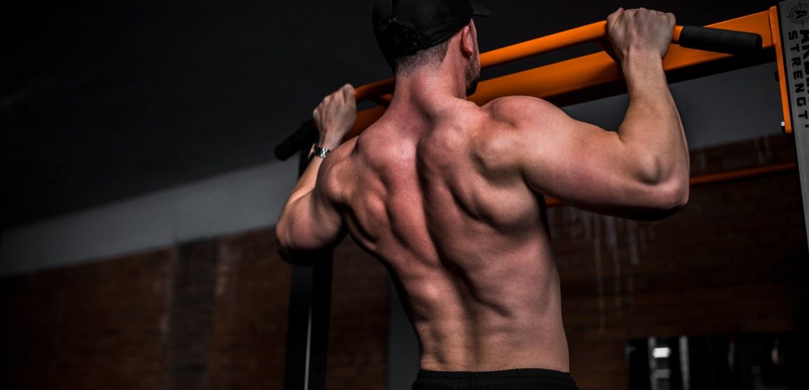 Proper back muscle training – how to do it?