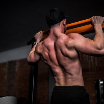 Proper back muscle training – how to do it?