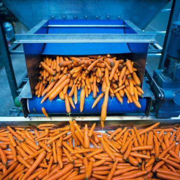 Exploring the transformative impact of automation in food processing industry